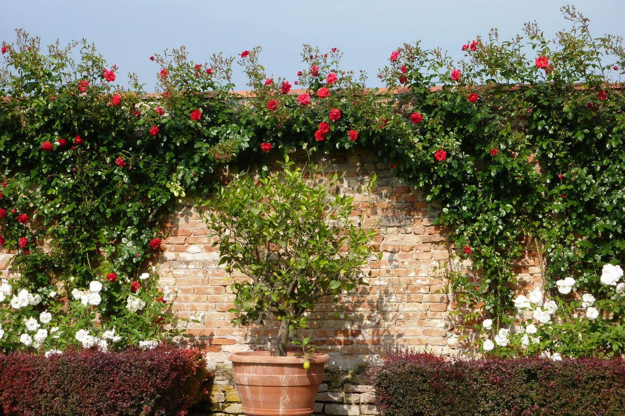 Villa Alberti Dolo Exteriör bild