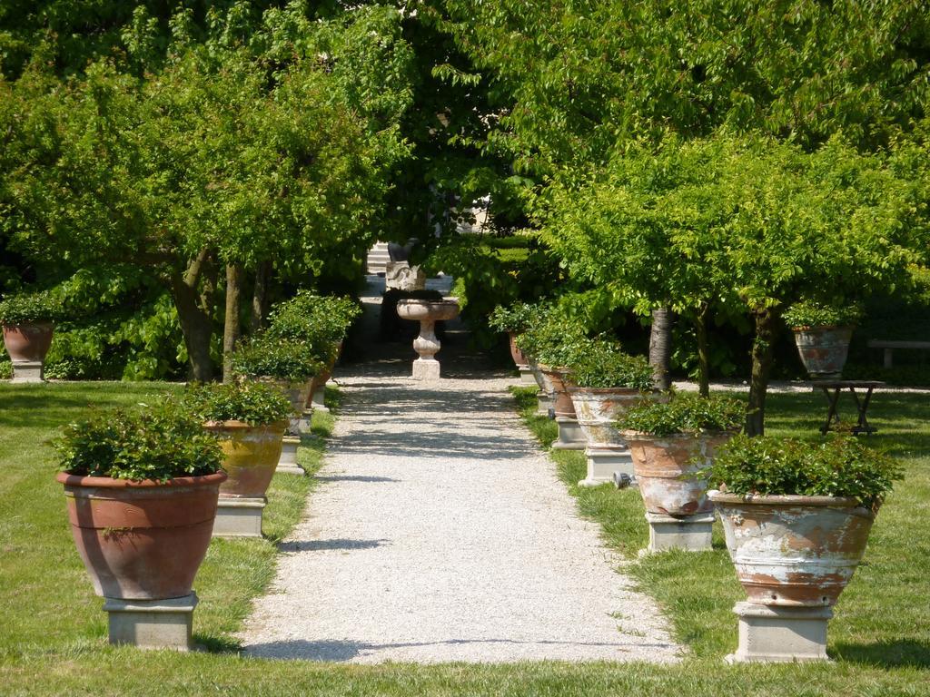 Villa Alberti Dolo Exteriör bild